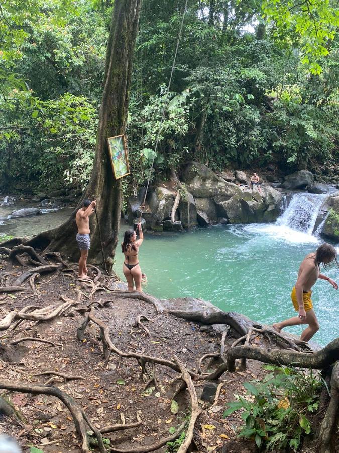 Coati Del Arenal Posada La Fortuna Εξωτερικό φωτογραφία