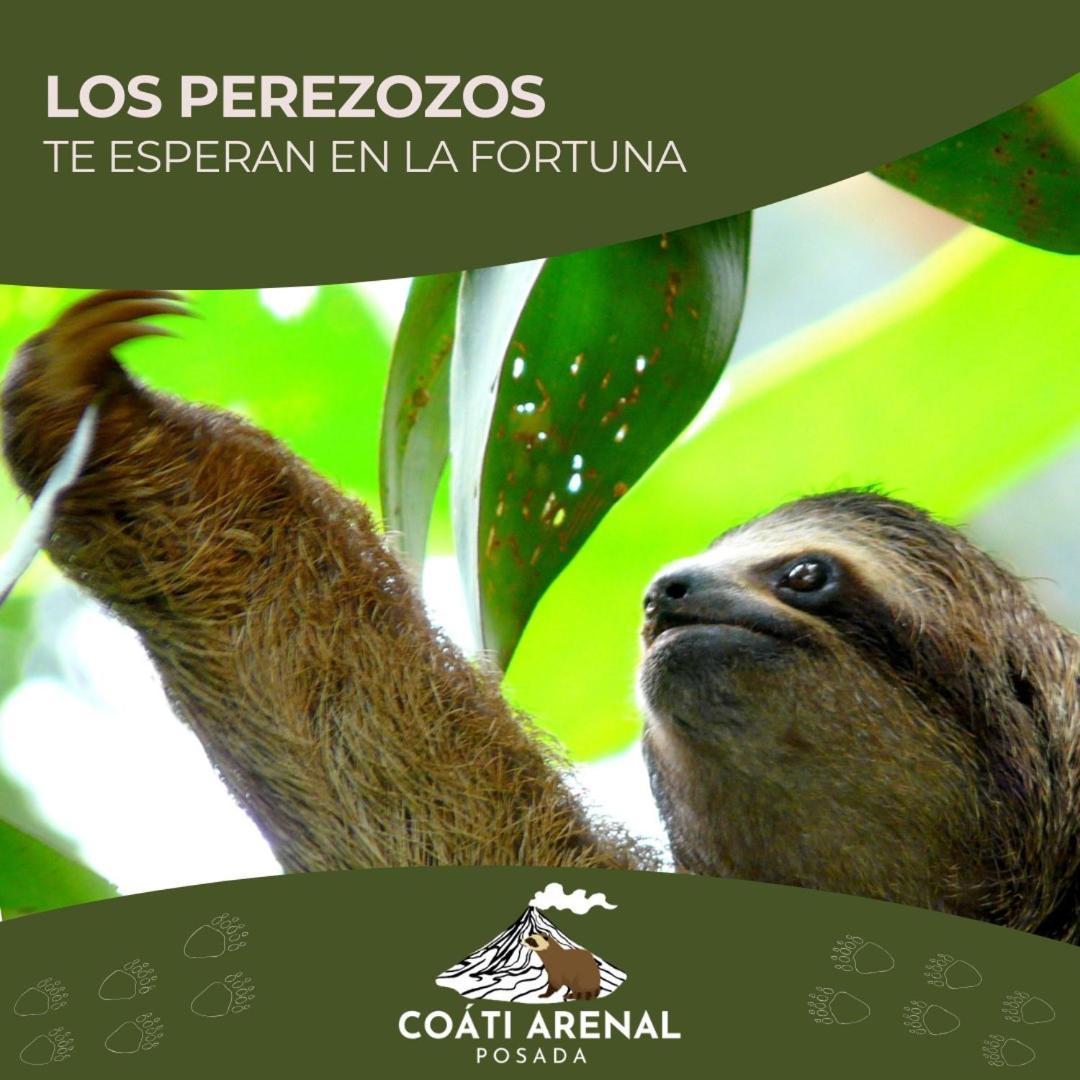 Coati Del Arenal Posada La Fortuna Εξωτερικό φωτογραφία