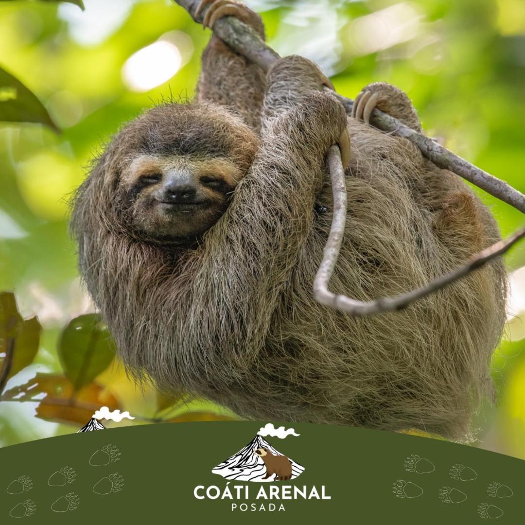 Coati Del Arenal Posada La Fortuna Εξωτερικό φωτογραφία